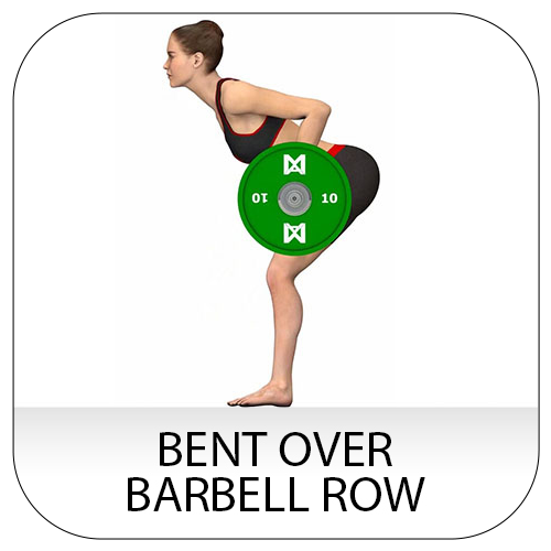 Bent over barbell row